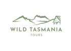 Experience Wineglass Bay Tasmania Tours and Activities