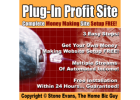 If you want to make real money online, the fastest way is through a High Ticket business model