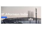 India’s Top IP Attorneys: Who You Should Trust for Your IP Rights