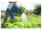 Garden Watering