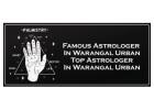 Best Astrologer in Warangal Urban