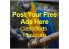 Get Your Free 90 day Premium Ad