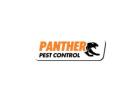 Pest Control Ealing