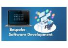 Bespoke Software Development Company