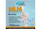 MLM Software Services in Lucknow 