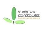 Comprar bromelias y orquídeas