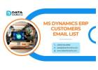 Access A High-Quality MS Dynamics ERP Customers Email List