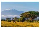 Tour packages to Kenya from India 