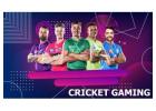 Diamond Exchange ID For Live Sports