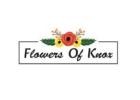 Same Day Flower Delivery Clayton